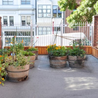 Napa Planters (Options: 60" L x 18" W x 24" H, California Redwood, Add 1 inch feet, No Trellis, Interior and Exterior of Box with Sealant (No Growing Vegetables), Transparent Premium Sealant). Photo Courtesy of School John Yehall Chin of San Francisco.