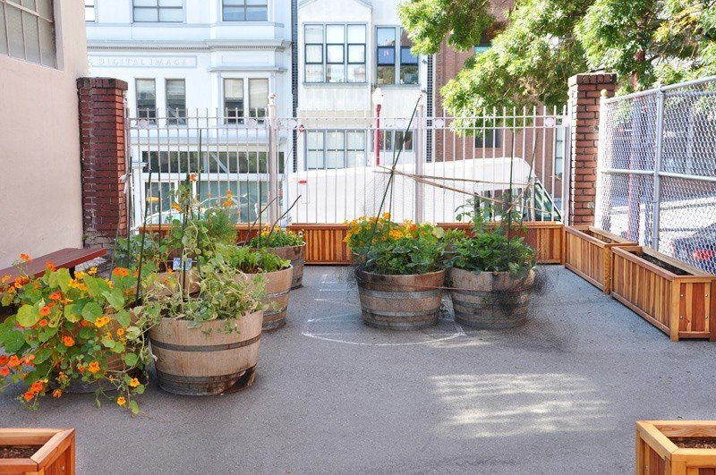 Napa Planters (Options: 60" L x 18" W x 24" H, California Redwood, Add 1 inch feet, No Trellis, No Growing Vegetables, Transparent Premium Sealant). Photo Courtesy of School John Yehall Chin of San Francisco. Napa Planters (Options: 60" L x 18" W x 24" H, California Redwood, Add 1 inch feet, No Trellis, No Growing Vegetables, Transparent Premium Sealant). Photo Courtesy of School John Yehall Chin of San Francisco.