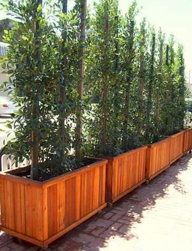 Napa Planters (Options: 48"L x 24"W x 24"H, California Redwood, With Casters, No Trellis, No Growing Vegetables, Transparent Premium Sealant). Napa Planters (Options: 48"L x 24"W x 24"H, California Redwood, With Casters, No Trellis, No Growing Vegetables, Transparent Premium Sealant).