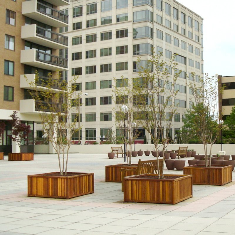 Napa Planters (Options: 48" L x 48" W x 24" H, California Redwood, Add 1 inch feet, No Trellis, No Growing Vegetables, Transparent Premium Sealant). Photo courtesy of Eugene K. of Arlington, Virginia. Napa Planters (Options: 48" L x 48" W x 24" H, California Redwood, Add 1 inch feet, No Trellis, No Growing Vegetables, Transparent Premium Sealant). Photo courtesy of Eugene K. of Arlington, Virginia.