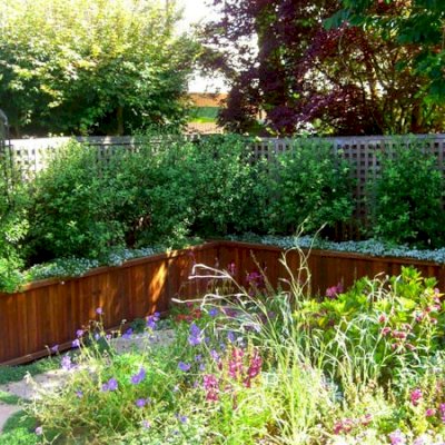 Napa Planters (Options: 144" L x 24" W x 24" H, Mature Redwood, No Base or Casters, No Trellis, Interior and Exterior of Box with Sealant (No Growing Vegetables), Transparent Premium Sealant).