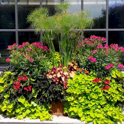 Napa Planters (Options: 96" L x 24" W x 24" H, Mature Redwood, No Base or Casters, No Trellis, Interior and Exterior of Box with Sealant (No Growing Vegetables), Transparent Premium Sealant). Photo Courtesy of Shaumberg Park Shaumberg, IL