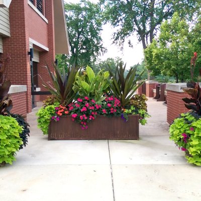 Napa Planters (Options: 96" L x 24" W x 24" H, Mature Redwood, No Base or Casters, No Trellis, Interior and Exterior of Box with Sealant (No Growing Vegetables), Transparent Premium Sealant). Photo Courtesy of Shaumberg Park Shaumberg, IL. This box was over 6 years old when photographed and has had additional coats of brown stain added (not standard finish).