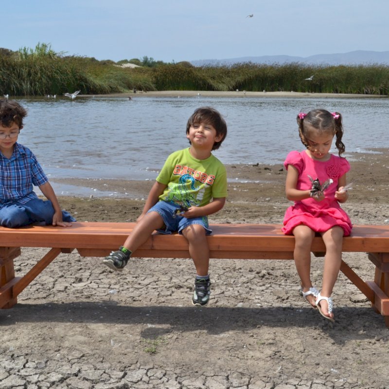 Parquet Bench (Options: 8 ft L x 17 3/4 inches W x 18 1/2 inches H, Old-Growth Redwood, No Cushion, No Engraving, Transparent Premium Sealant). Photo courtesy of Hernandez Family. Parquet Bench (Options: 8 ft L x 17 3/4 inches W x 18 1/2 inches H, Old-Growth Redwood, No Cushion, No Engraving, Transparent Premium Sealant). Photo courtesy of Hernandez Family.