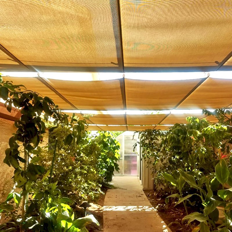 Custom Retractable Canopy Pergola (Options: 23' L x 12.5' W, Custom Lattice Entryway, California Redwood, 8.5 ft Post Height, No Electrical Wiring Trim, No Ceiling Fan Base, No Curtain Rods, Post Anchor Kit for Concrete, Transparent Premium Sealant). Photo Courtesy of D. Morris of Phoenix, Arizona. Custom Retractable Canopy Pergola (Options: 23' L x 12.5' W, Custom Lattice Entryway, California Redwood, 8.5 ft Post Height, No Electrical Wiring Trim, No Ceiling Fan Base, No Curtain Rods, Post Anchor Kit for Concrete, Transparent Premium Sealant). Photo Courtesy of D. Morris of Phoenix, Arizona.