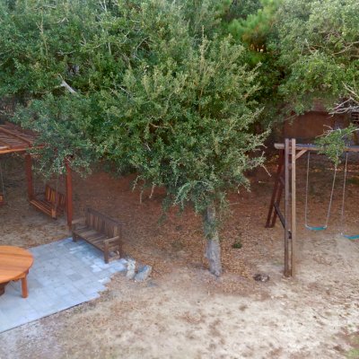 Rory's Giant Playground Swing Sets (Options: 3 Seats, Redwood, Standard Swing Seats, Transparent Premium Sealant). Photo Also Shows an Arched Pergola with Swing Benches, Round Patio Table and a Ti Amo Bench. Photo Courtesy of Tom Marten of Kitty Hawk, NC.