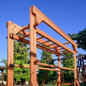 Sheldon's Monkey Bar Set, Forever Redwood