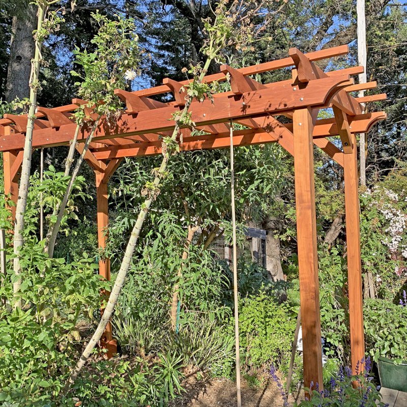 Small Garden Pergola Kit (Options: 12' L x 6' W, 2 x 6's Supports and Rafters by Custom Request, No Privacy Panels, Mature Redwood, 9' Post height, 4-Post Anchor Kit for Concrete, No Curtain Rods, No Decorative Trims, Transparent Premium Sealant). Photo Courtesy of R. Lilley of Guerneville, California. Small Garden Pergola Kit (Options: 12' L x 6' W, 2 x 6's Supports and Rafters by Custom Request, No Privacy Panels, Mature Redwood, 9' Post height, 4-Post Anchor Kit for Concrete, No Curtain Rods, No Decorative Trims, Transparent Premium Sealant). Photo Courtesy of R. Lilley of Guerneville, California.