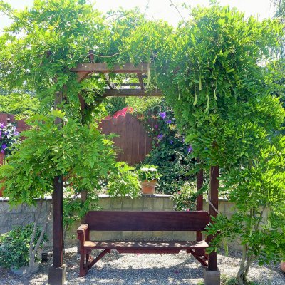 Small Garden Pergola Kit (Options: 6' L x 8' W, No Privacy Panels, Old-Growth Redwood, 9 ft Post Height, 4-Post Anchor Kit for Concrete, No Curtain Rods, No Decorative Trims, Cherry Stain Premium Sealant). Photo Also Shows a Heritage Bench Under the Pergola. Photo Courtesy of Aileen Knowles of San Diego, CA.