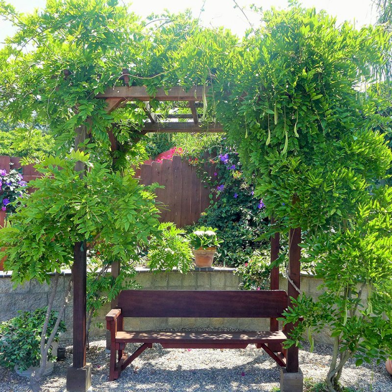 Small Garden Pergola Kit (Options: 6' L x 8' W, No Privacy Panels, Old-Growth Redwood, 9 ft Post Height, 4-Post Anchor Kit for Concrete, No Curtain Rods, No Decorative Trims, Cherry Stain Premium Sealant). Photo Also Shows a Heritage Bench Under the Pergola. Photo Courtesy of Aileen Knowles of San Diego, CA. Small Garden Pergola Kit (Options: 6' L x 8' W, No Privacy Panels, Old-Growth Redwood, 9 ft Post Height, 4-Post Anchor Kit for Concrete, No Curtain Rods, No Decorative Trims, Cherry Stain Premium Sealant). Photo Also Shows a Heritage Bench Under the Pergola. Photo Courtesy of Aileen Knowles of San Diego, CA.