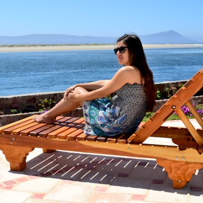 Sol Redwood Patio Lounger (Options: Single, Extra Large 78", Mature Redwood, No Armrests, 13"H, Include Wooden Wheels, Transparent Premium Sealant). Photo also shows: The Poolside Privacy Panel
