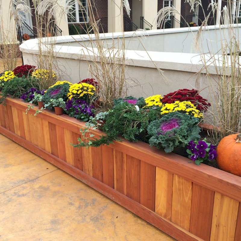 Sonoma Planters (Options: 120" L x 30" W x 24" H, Redwood, No Sitting Ledge, Add 1-inch feet, No Trellis, No Growing Vegetables, Transparent Premium Sealant). Photo Courtesy of Roxanne Giordano of New Rochelle, NY. Sonoma Planters (Options: 120" L x 30" W x 24" H, Redwood, No Sitting Ledge, Add 1-inch feet, No Trellis, No Growing Vegetables, Transparent Premium Sealant). Photo Courtesy of Roxanne Giordano of New Rochelle, NY.