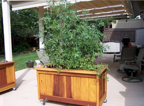 Sonoma Planters (Options: 48" L, 24" W x 24" H, Redwood, Add Seating Ledge, 4 Casters, No Trellis, No Growing Vegetables, Transparent Premium Sealant). Photo Courtesy of Larry Weller of Arvada, CO. Sonoma Planters (Options: 48" L, 24" W x 24" H, Redwood, Add Seating Ledge, 4 Casters, No Trellis, No Growing Vegetables, Transparent Premium Sealant). Photo Courtesy of Larry Weller of Arvada, CO.