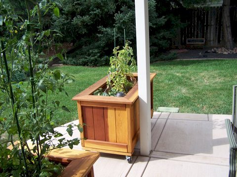 Sonoma Planters (Options: 48" L, 24" W x 24" H, Redwood, Add Seating Ledge, 4 Casters, No Trellis, No Growing Vegetables, Transparent Premium Sealant). Photo Courtesy of Larry Weller of Arvada, CO. Sonoma Planters (Options: 48" L, 24" W x 24" H, Redwood, Add Seating Ledge, 4 Casters, No Trellis, No Growing Vegetables, Transparent Premium Sealant). Photo Courtesy of Larry Weller of Arvada, CO.