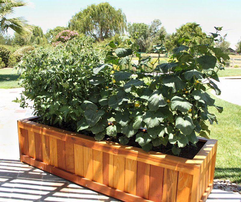 Sonoma Planters (Options: 96" L, 30" W x 24" H, Redwood, No Seating Ledge, 1-inch Feet, No Trellis, No Growing Vegetables, Transparent Premium Sealant). Photo Courtesy of Samuel P. of Atascadero, CA. Sonoma Planters (Options: 96" L, 30" W x 24" H, Redwood, No Seating Ledge, 1-inch Feet, No Trellis, No Growing Vegetables, Transparent Premium Sealant). Photo Courtesy of Samuel P. of Atascadero, CA.