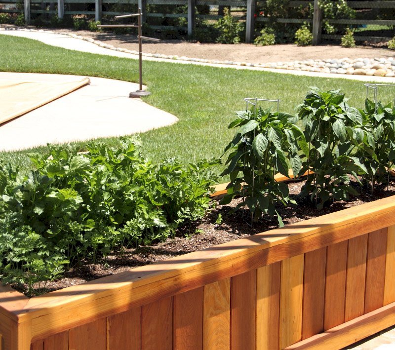 Sonoma Planters (Options: 96" L, 30" W x 24" H, Redwood, No Seating Ledge, 1-inch Feet, No Trellis, No Growing Vegetables, Transparent Premium Sealant). Photo Courtesy of Samuel P. of Atascadero, CA. Sonoma Planters (Options: 96" L, 30" W x 24" H, Redwood, No Seating Ledge, 1-inch Feet, No Trellis, No Growing Vegetables, Transparent Premium Sealant). Photo Courtesy of Samuel P. of Atascadero, CA.