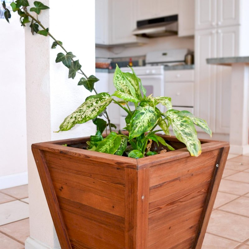 Tapered Planters (Options: 15" Square Base x 21" Square Top x 18"H, Mature Redwood, 3/4-inch feet, Interior and Exterior of Box with Sealant (No Growing Vegetables), Transparent Premium Sealant). and Redwood Wine Rack. Tapered Planters (Options: 15" Square Base x 21" Square Top x 18"H, Mature Redwood, 3/4-inch feet, Interior and Exterior of Box with Sealant (No Growing Vegetables), Transparent Premium Sealant). and Redwood Wine Rack.