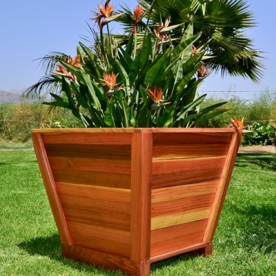 Tapered Planters (Options: 15" Square Base x 21" Square Top x 18"H, Redwood, 3/4-inch feet, Interior and Exterior of Box with Sealant (No Growing Vegetables), Transparent Premium Sealant).today 