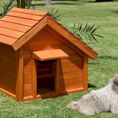 The Canine Cottages (Douglas-fir, Transparent Premium Sealant). Dog not included!