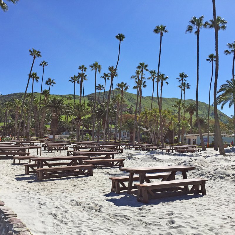 The Classic Redwood Patio Table (Options: California Redwood, Side Benches, 1 Full Length Bench Per Side, Standard Tabletop, Slightly Rounded Corners, No Umbrella Hole, Coffee Stain Premium Sealant). Photo Shows Customized Version of Patio Tables. Tables Installed in Catalina Island, CA. The Classic Redwood Patio Table (Options: California Redwood, Side Benches, 1 Full Length Bench Per Side, Standard Tabletop, Slightly Rounded Corners, No Umbrella Hole, Coffee Stain Premium Sealant). Photo Shows Customized Version of Patio Tables. Tables Installed in Catalina Island, CA.