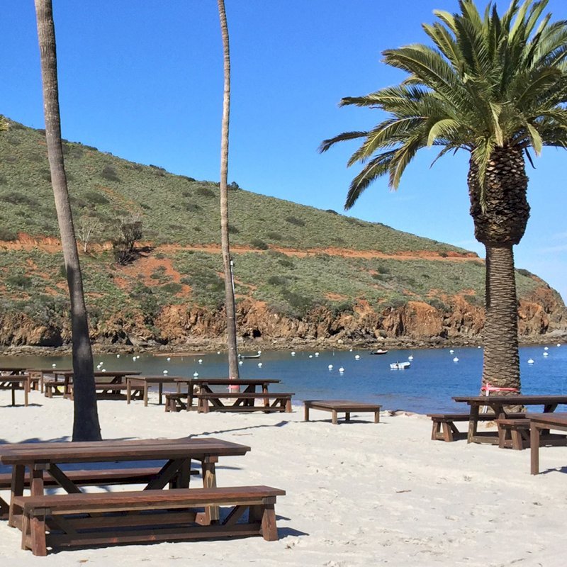 The Classic Redwood Patio Table (Options: California Redwood, Side Benches, 1 Full Length Bench Per Side, Standard Tabletop, Slightly Rounded Corners, No Umbrella Hole, Coffee Stain Premium Sealant). Photo Shows Customized Version of Patio Tables. Tables Installed in Catalina Island, CA. The Classic Redwood Patio Table (Options: California Redwood, Side Benches, 1 Full Length Bench Per Side, Standard Tabletop, Slightly Rounded Corners, No Umbrella Hole, Coffee Stain Premium Sealant). Photo Shows Customized Version of Patio Tables. Tables Installed in Catalina Island, CA.