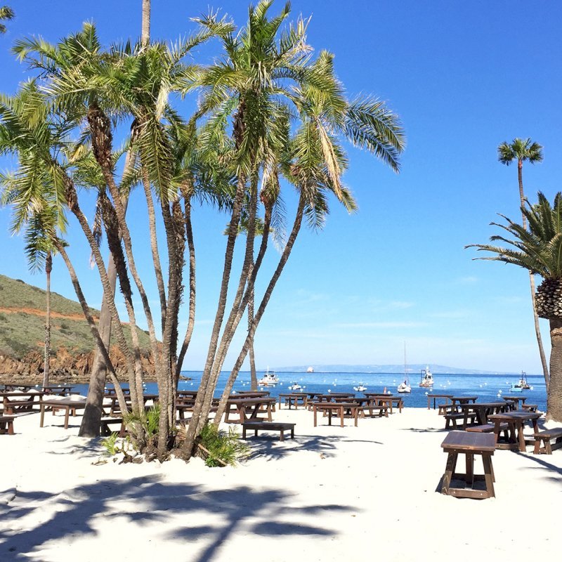 The Classic Redwood Patio Table (Options: California Redwood, Side Benches, 1 Full Length Bench Per Side, Standard Tabletop, Slightly Rounded Corners, No Umbrella Hole, Coffee Stain Premium Sealant). Photo Shows Customized Version of Patio Tables. Tables Installed in Catalina Island, CA. The Classic Redwood Patio Table (Options: California Redwood, Side Benches, 1 Full Length Bench Per Side, Standard Tabletop, Slightly Rounded Corners, No Umbrella Hole, Coffee Stain Premium Sealant). Photo Shows Customized Version of Patio Tables. Tables Installed in Catalina Island, CA.