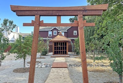 The Forever Redwood Torii Gate