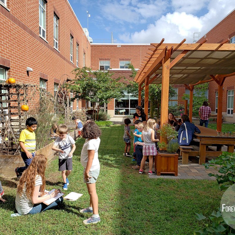 The Traditional Wooden Garden Pergola (Options: 30' L x 12' W, Douglas-fir, Open Roof with Slats at 18, Transparent Premium Sealant). Shade clothe is a wonderful way to increase shade when needed. Shade Clothe shown is a custom detail we can add for you. Photo Courtesy of Frederick Douglass Elementary School of Lessburg, Virginia. The Traditional Wooden Garden Pergola (Options: 30' L x 12' W, Douglas-fir, Open Roof with Slats at 18, Transparent Premium Sealant). Shade clothe is a wonderful way to increase shade when needed. Shade Clothe shown is a custom detail we can add for you. Photo Courtesy of Frederick Douglass Elementary School of Lessburg, Virginia.