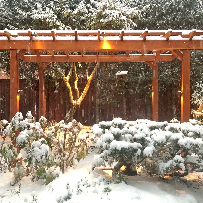 The Traditional Wooden Garden Pergola (Options: 14' L x 10' W, California Redwood, No Electrical Wiring Trim, Open Roof with Slats at 18", Rafters at 18", 4-Post Anchor Kit for Concrete, No Ceiling Fan Base, No Privacy Panels, No Post Decorative Trims, No Curtain Rod, 9' Post Height, Transparent Premium Sealant). Photo Courtesy of S. Schmidt of Philadelphia, Pennsylvania. The Traditional Wooden Garden Pergola (Options: 14' L x 10' W, California Redwood, No Electrical Wiring Trim, Open Roof with Slats at 18", Rafters at 18", 4-Post Anchor Kit for Concrete, No Ceiling Fan Base, No Privacy Panels, No Post Decorative Trims, No Curtain Rod, 9' Post Height, Transparent Premium Sealant). Photo Courtesy of S. Schmidt of Philadelphia, Pennsylvania.