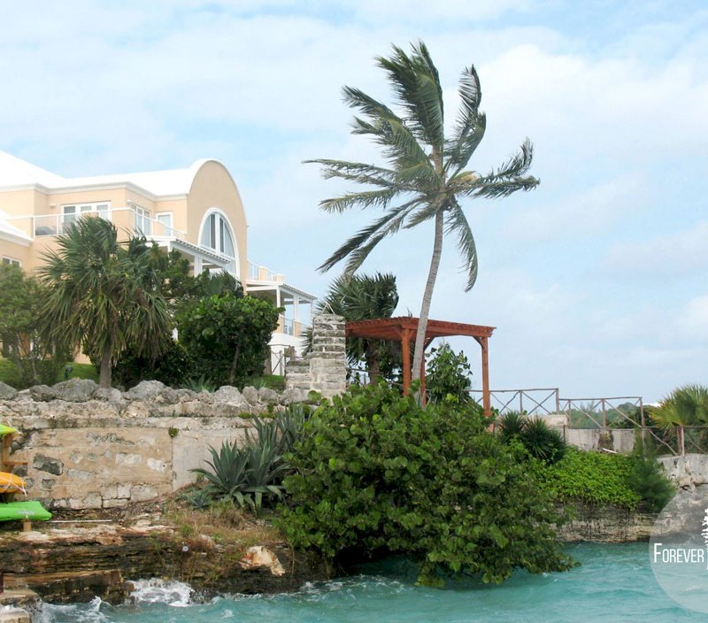 Great view from Bermuda - The Traditional Wooden Garden Pergola (Options: 16' L x 10' W, Mature Redwood, No Electrical Wiring Trim, Open Roof with Slats at 6", Rafters at 18", Lengthwise Roof Support Timbers, 4-Post Anchor Kit for Stone, No Ceiling Fan Base, No Privacy Panels, No Curtain Rods, 9' Post Height, Transparent Premium Sealant). Great view from Bermuda - The Traditional Wooden Garden Pergola (Options: 16' L x 10' W, Mature Redwood, No Electrical Wiring Trim, Open Roof with Slats at 6", Rafters at 18", Lengthwise Roof Support Timbers, 4-Post Anchor Kit for Stone, No Ceiling Fan Base, No Privacy Panels, No Curtain Rods, 9' Post Height, Transparent Premium Sealant).