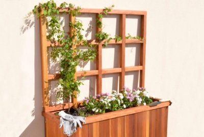 Trellises for Planters