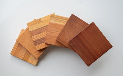 Wood Samples