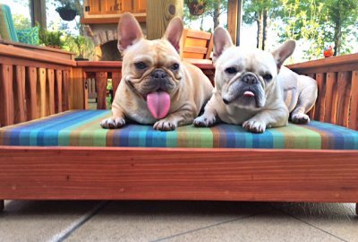 Wooden Pets Bed