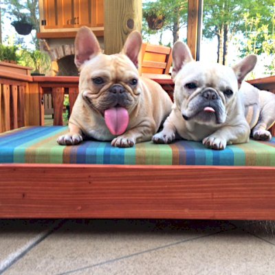 Wooden Pets Bed (Options: California Redwood, Custom Cushion).