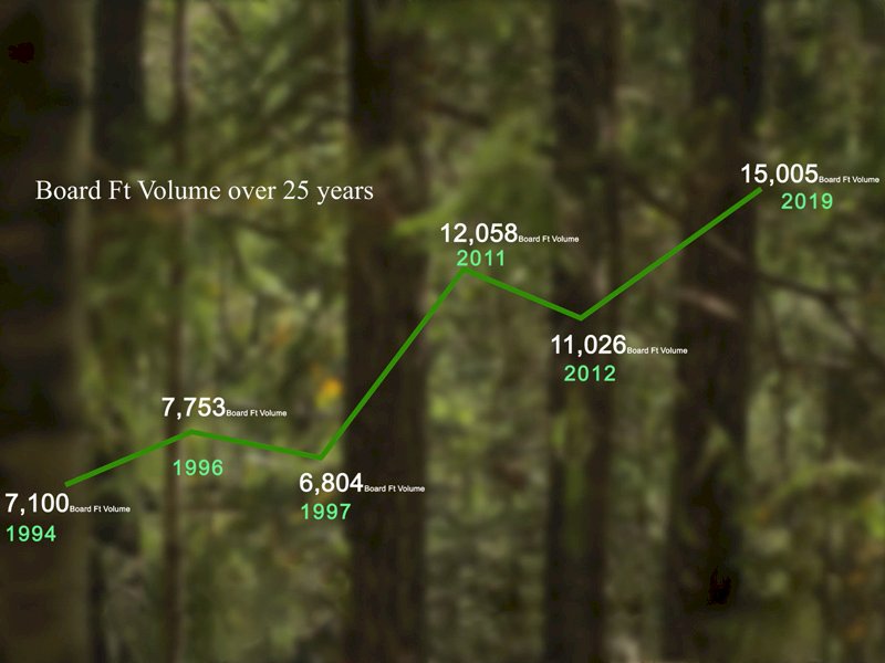 Forest Restoration explained in 3 minutes