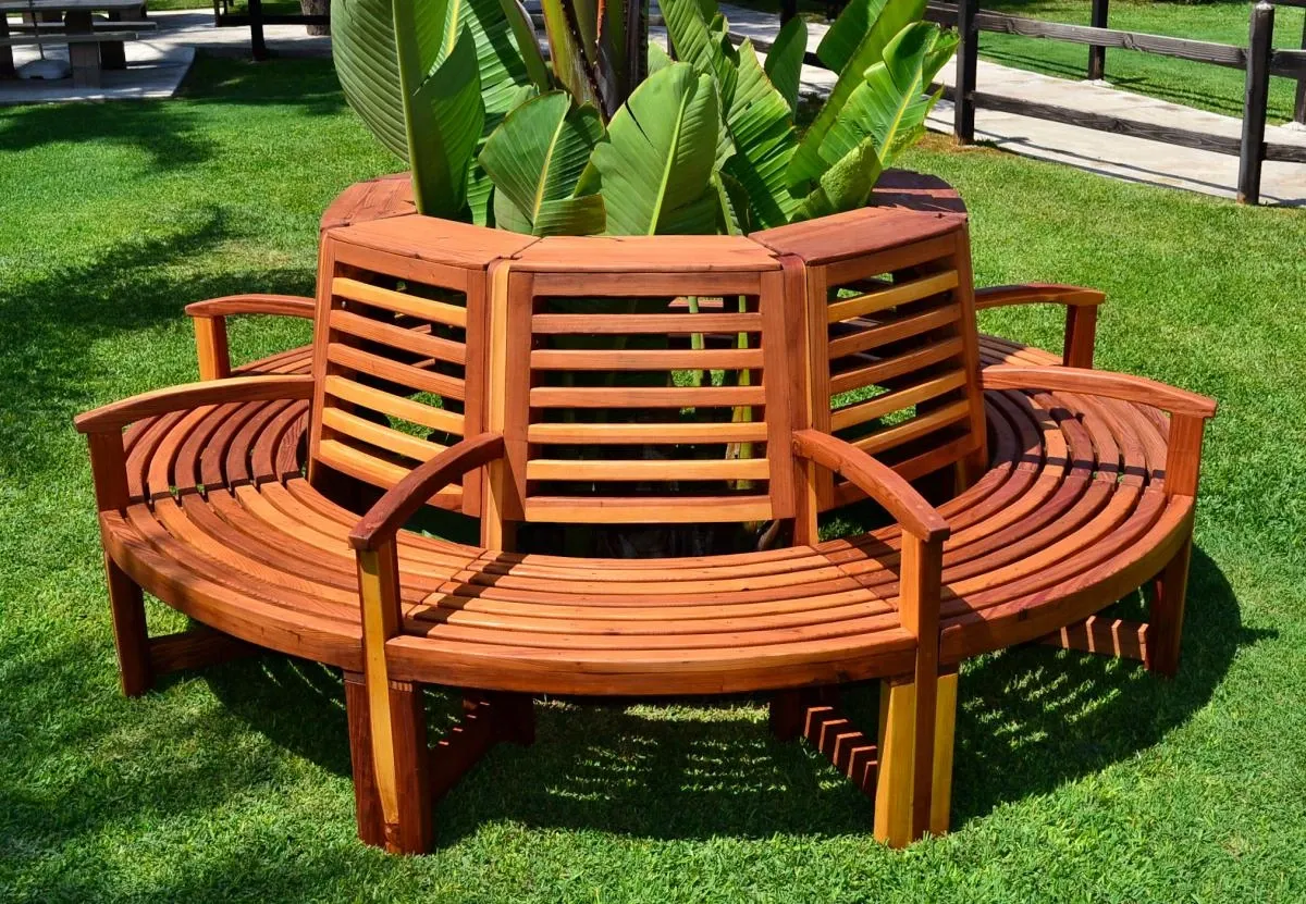 Luna Redwood Tree Bench