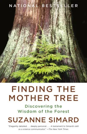 Cover of Finding the Mother Tree by Dr. Suzanne Simard
