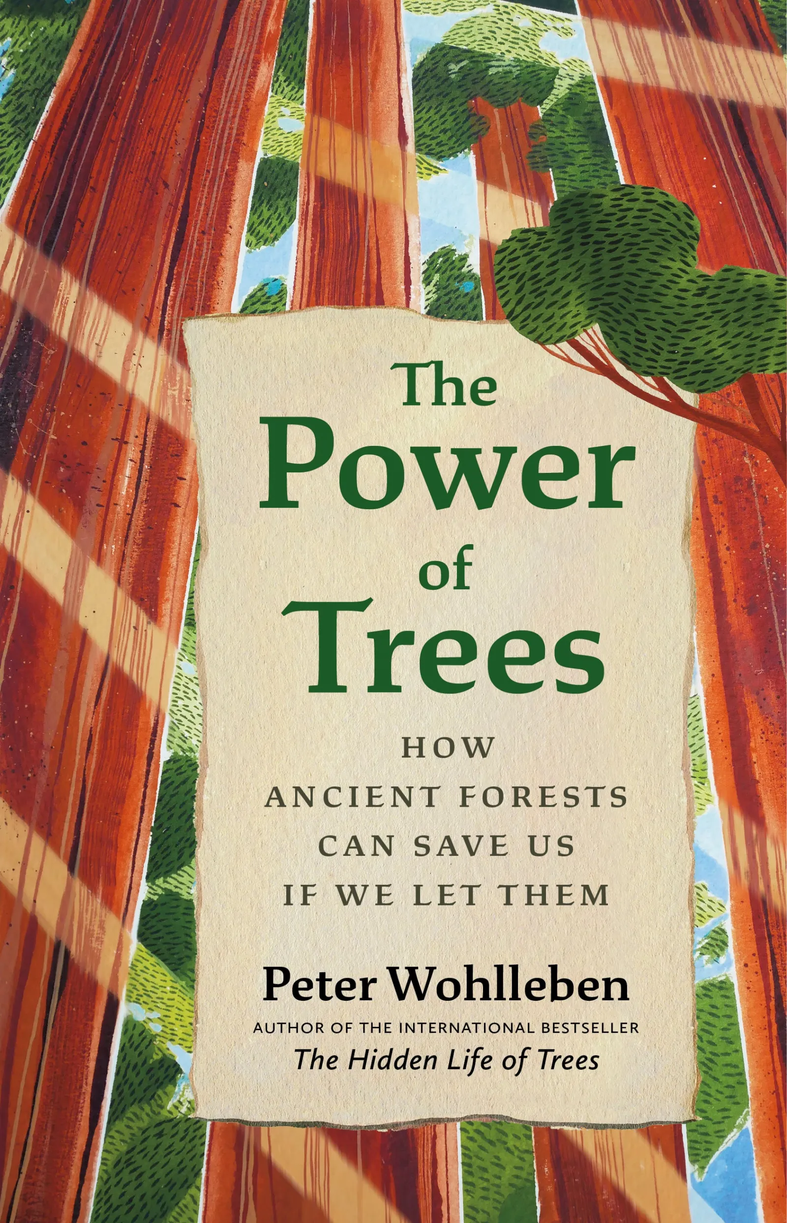 Cover of The Power of Trees by Peter Wohlleben