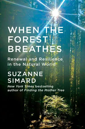 Cover of When the Forest Breathes by Dr. Suzanne Simard