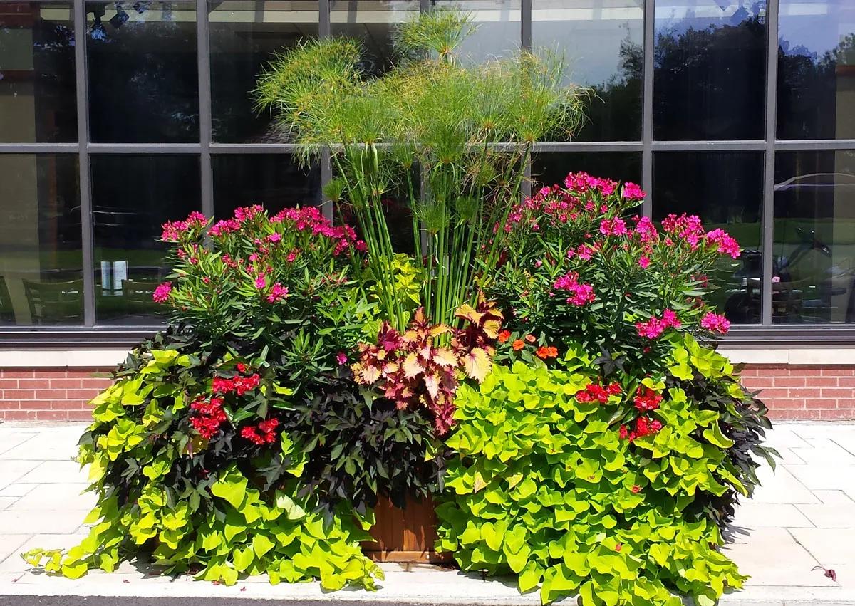 Napa Planter in Schaumberg Park District