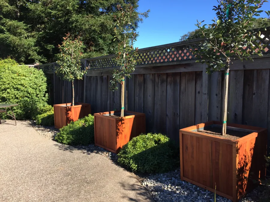 Custom Structures at the home of Michael H, Annapolis, CA