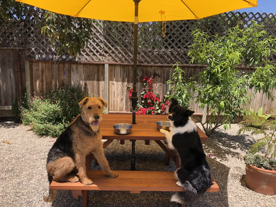 Tables at the home of Albert C, Carpinteria, CA