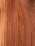 Redwood