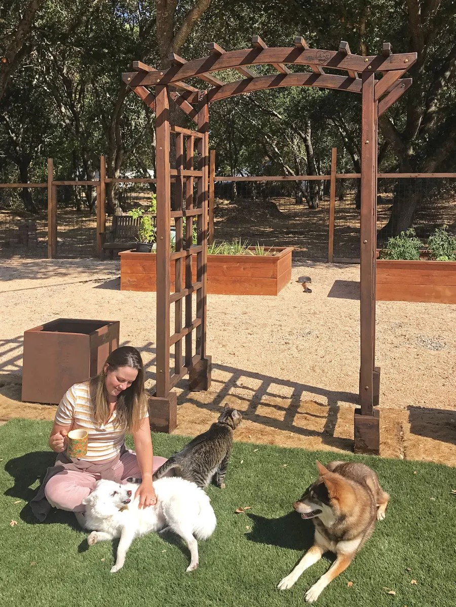 Arched Garden Arbor (Options: 48" W x 36" D, Old-Growth Redwood, No Anchor Kit, Transparent Premium Sealant). Photo taken 5 years after installation. Photo Courtesy of A. Linney of Alameda, California.