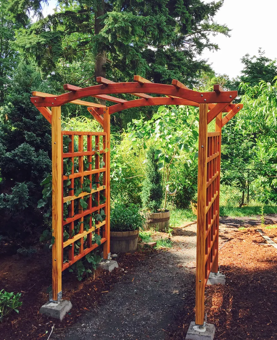 Arched Garden Arbor (Options: 48" W x 60" D, California Redwood, No Anchor Kit, Transparent Premium Sealant). Photo Courtesy of Evelyn and Dan Martin of Poulsbo, Washington.