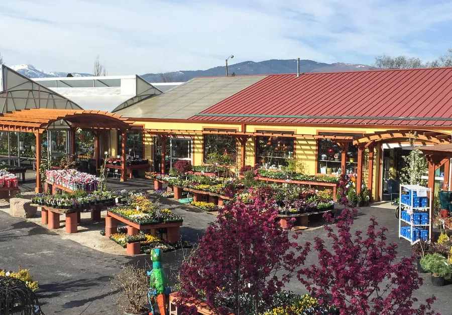 Arched Open Sky Pergolas (Options: 15' L x 18' Arc W - Left, 8' L x 10" Arc W - Right, Mature Redwood, Unattached, Transparent Premium Sealant). Photo Also Shows a Custom Arbor Between the 2 Arched Pergolas. Photo Courtesy of Caras Nursery and Landscape