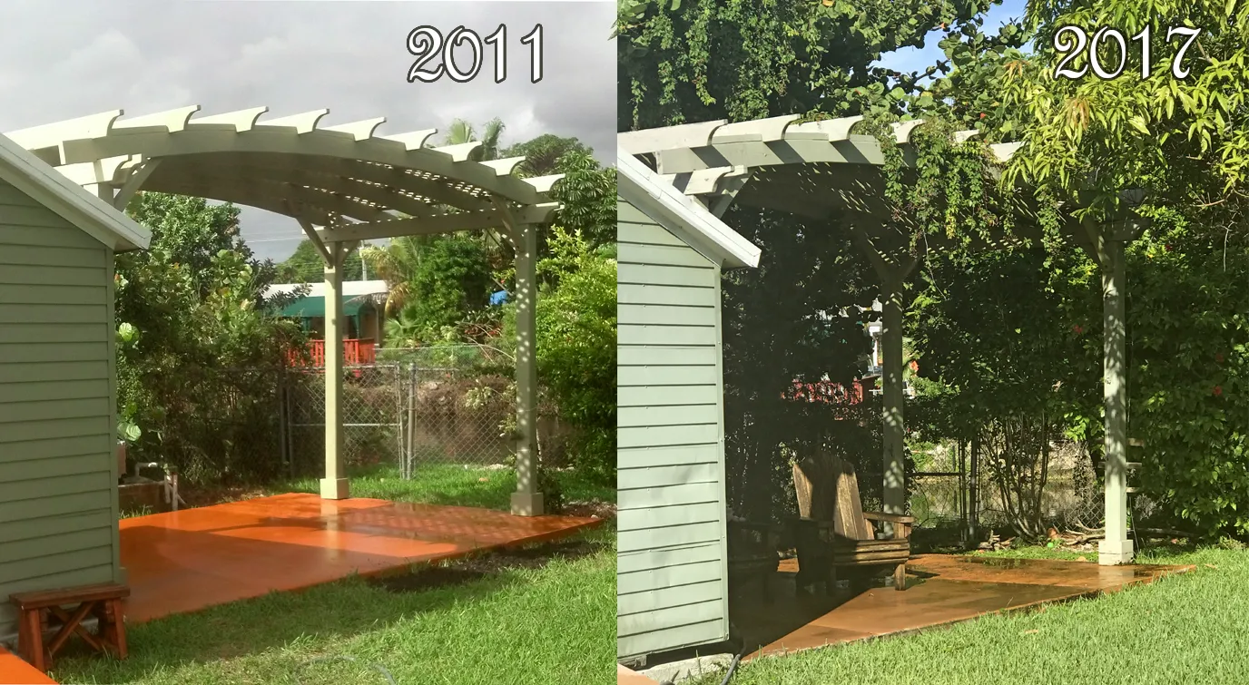 Arched Pergola Kits