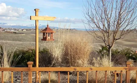 Aviary Oasis Bird Feeders