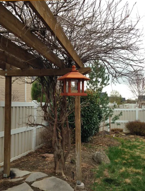 Aviary Oasis Bird Feeders (Options: Old-Growth Redwood, XW Roof Eaves, Transparent Premium Sealant).  Photo Courtesy of Marilyn Brooks of Star, Idaho.