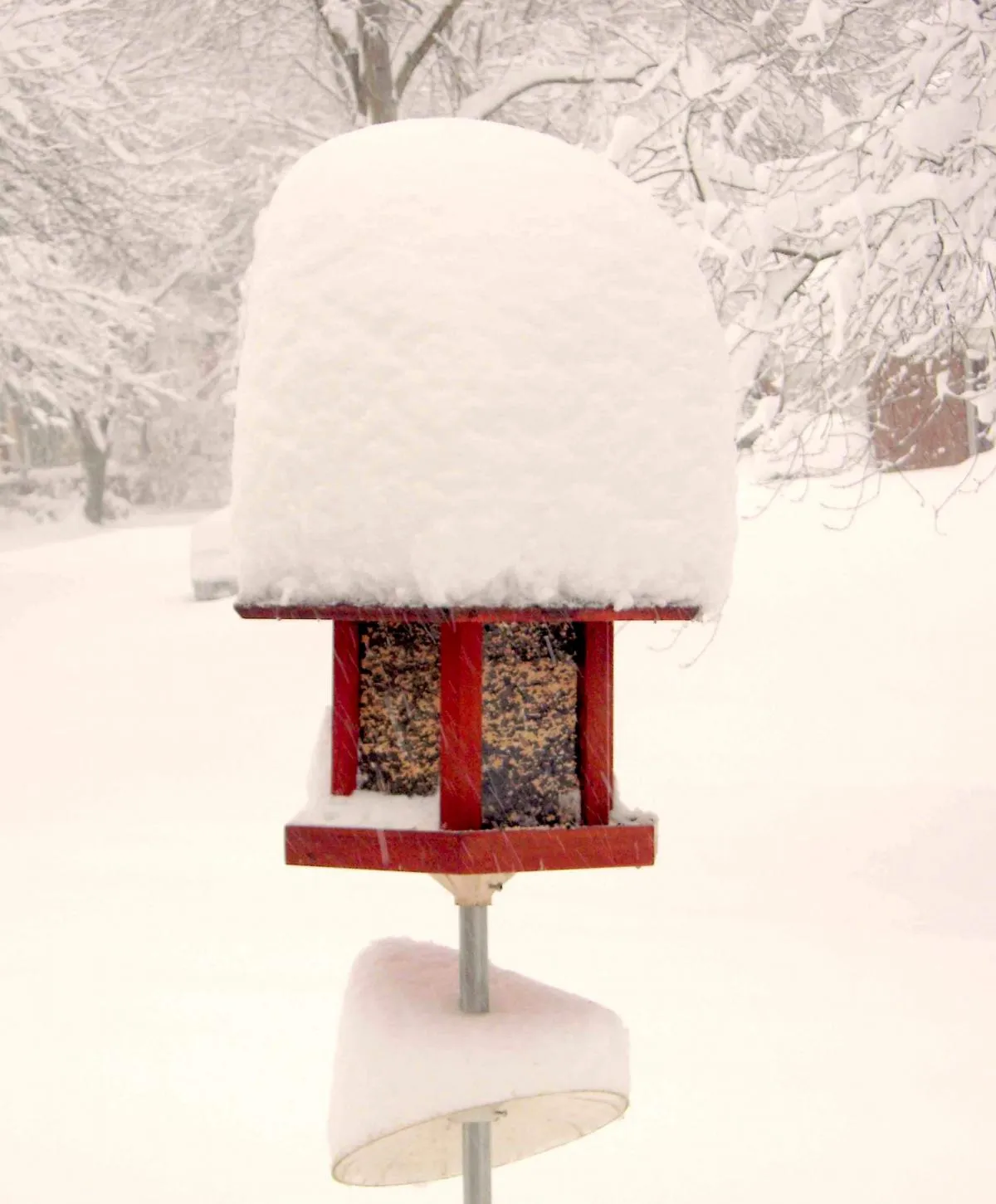 Aviary Oasis Bird Feeders